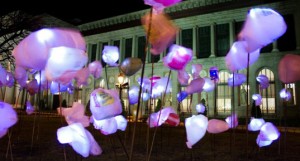 Tuin van licht