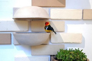 Muurbloempjes en zangvogeltjes